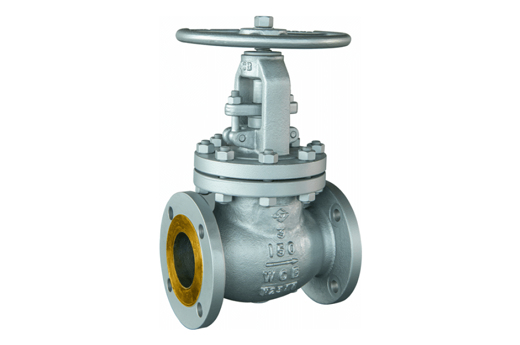 Indosup globe valve